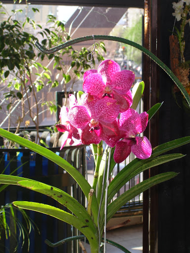DSC00015.JPG