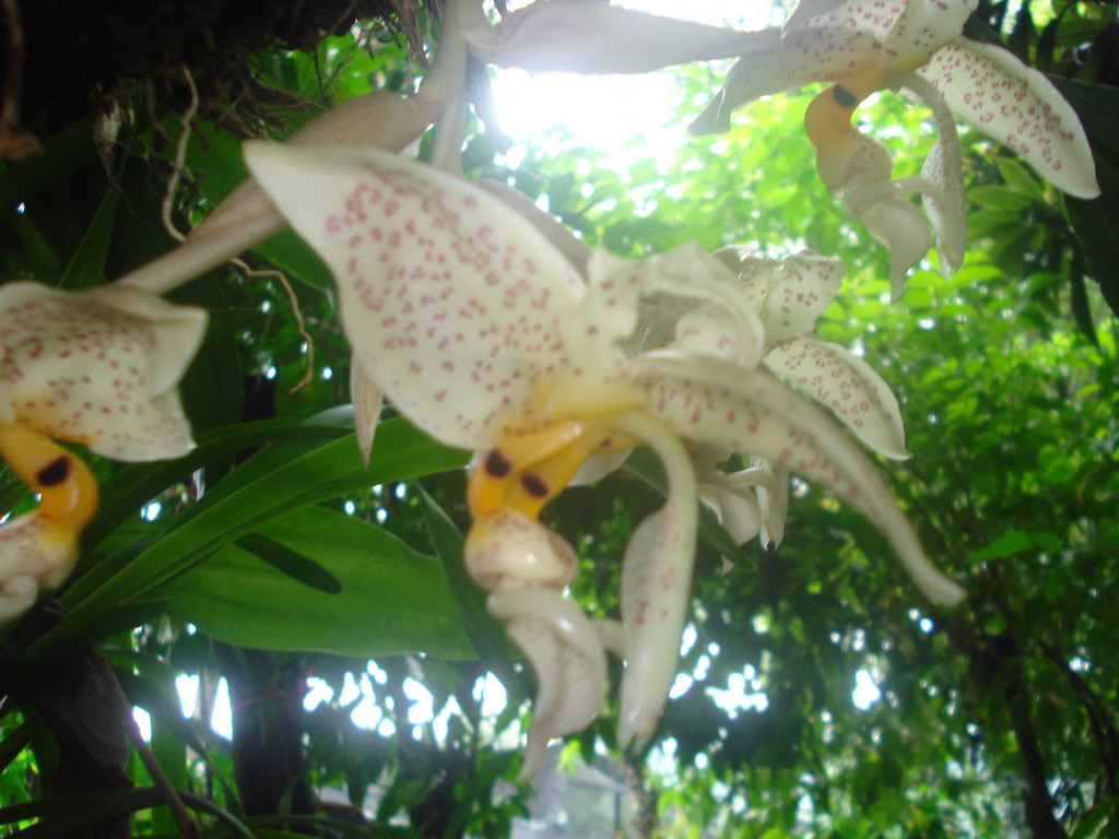 DSC000152.jpg