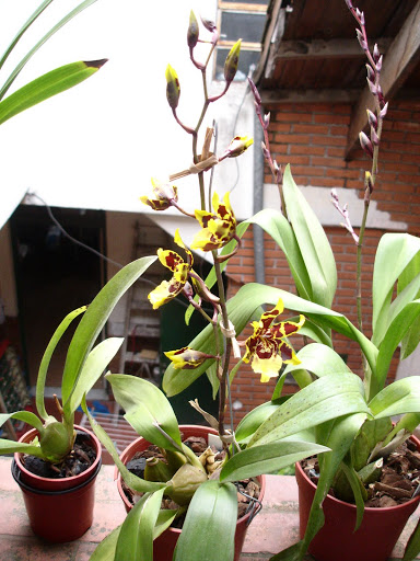 DSC00017.JPG