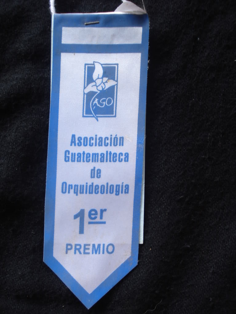 DSC00030-1.jpg