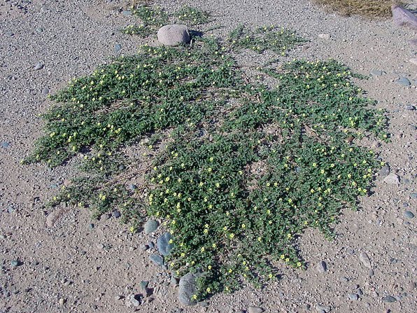 Dsc00030.jpg