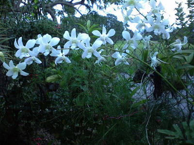 DSC000301.JPG