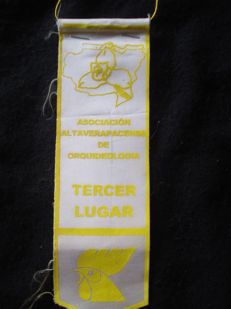 DSC00032-1.jpg
