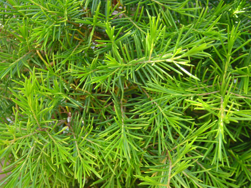 DSC00033~0.jpg