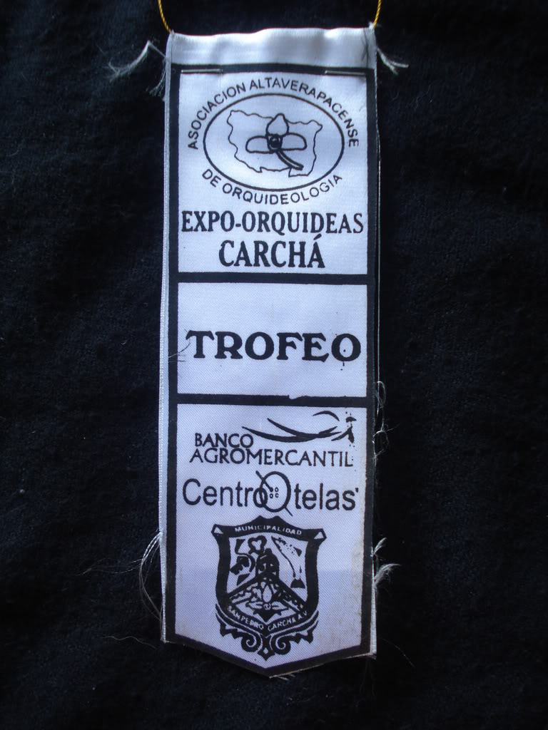 DSC00033-2.jpg