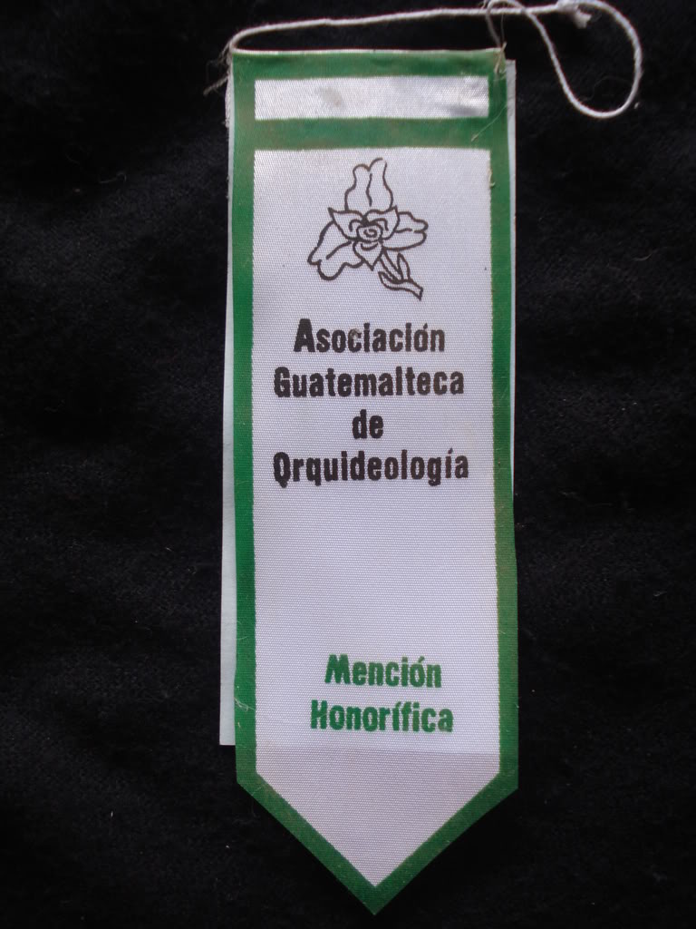DSC00034-1.jpg