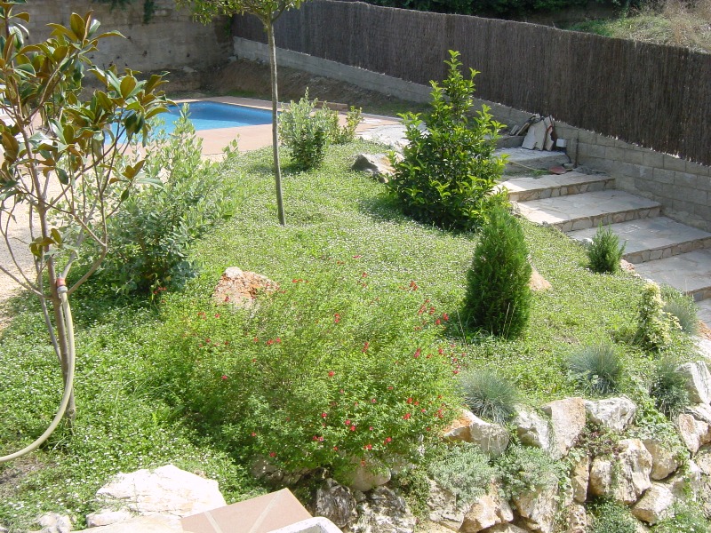 DSC00034_0000.JPG