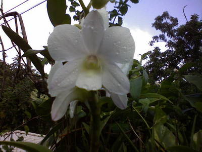 DSC000412.JPG