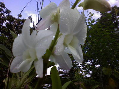 DSC000422.JPG