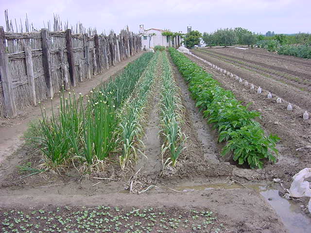 DSC00045.JPG