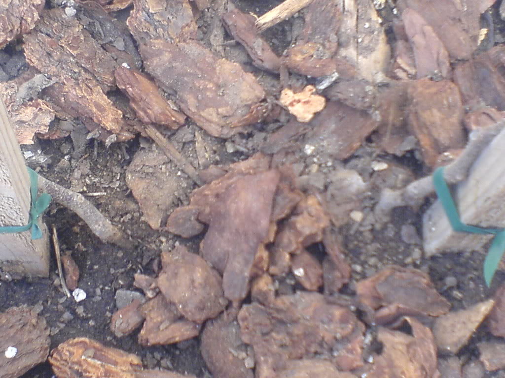 DSC00047.jpg