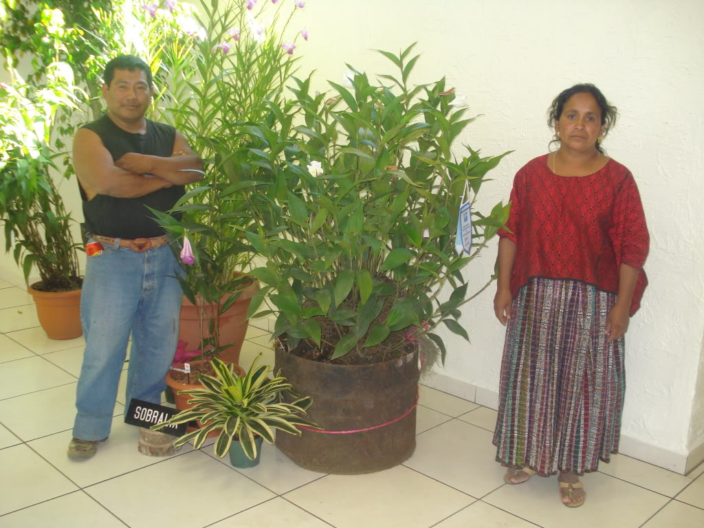 DSC00052-1.jpg