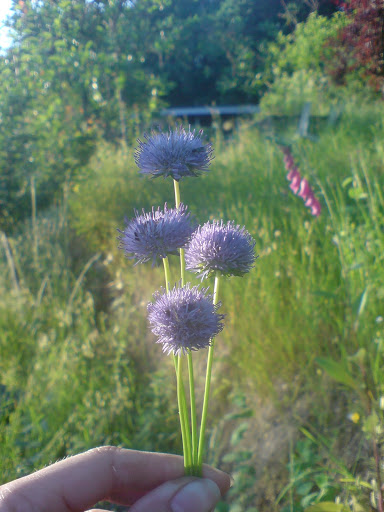 DSC00053.JPG