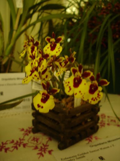 DSC00054.JPG