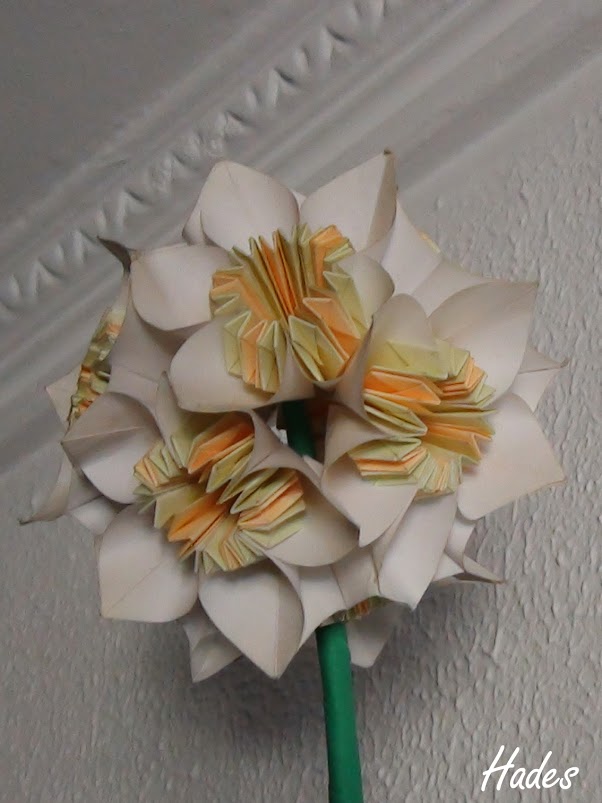 DSC00055.JPG