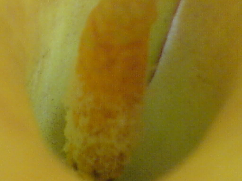 DSC000581.jpg
