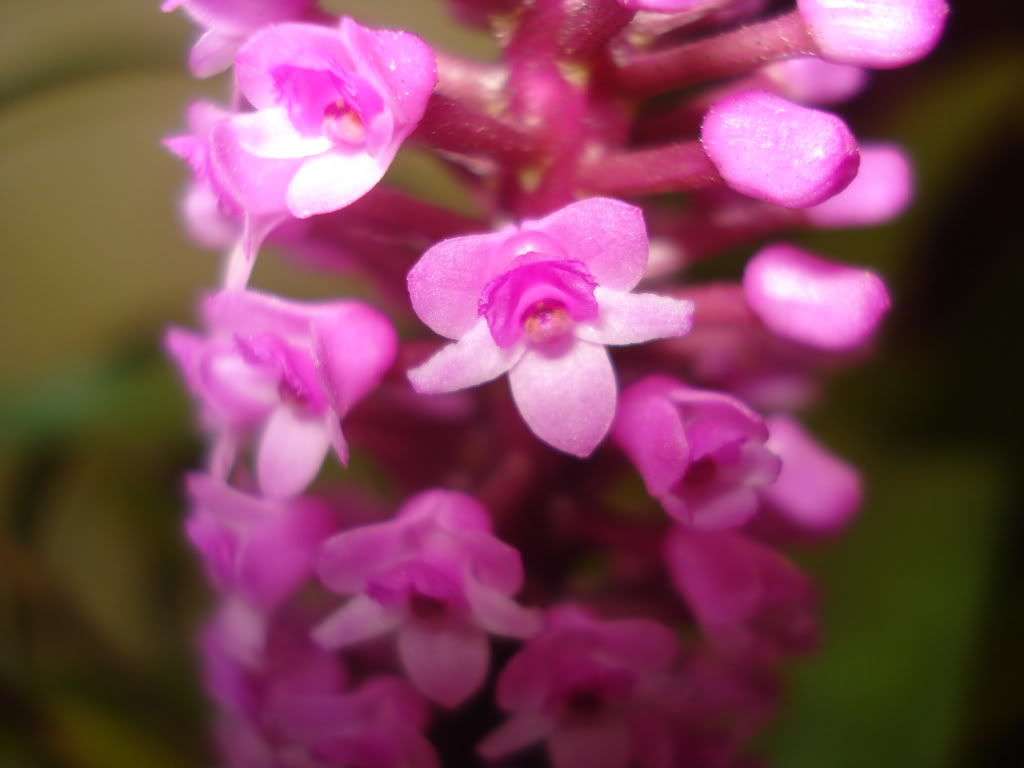DSC000582.jpg