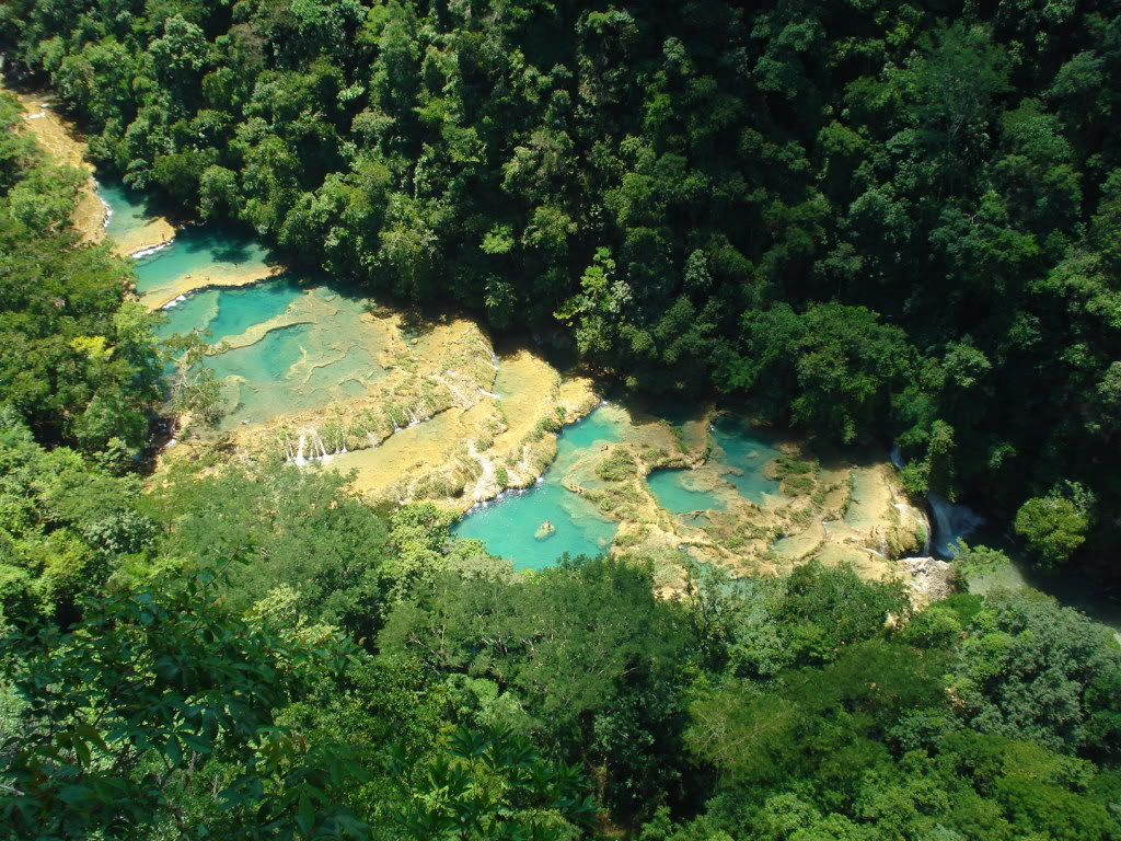 DSC00060.jpg
