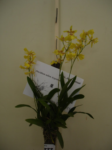 DSC00060.JPG