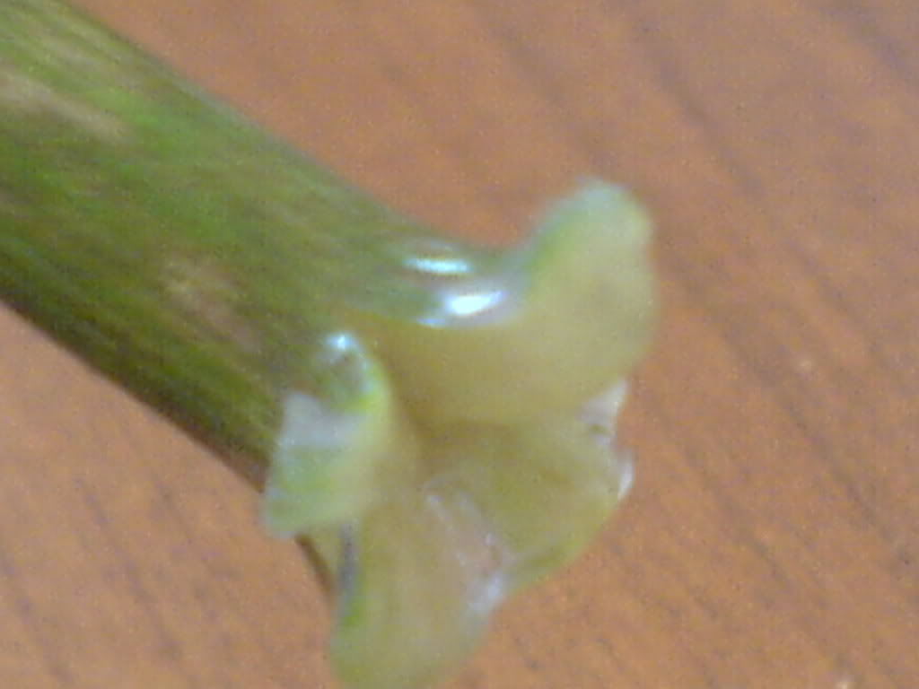 DSC000601.jpg