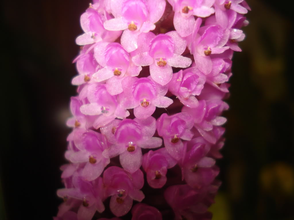 DSC000612.jpg