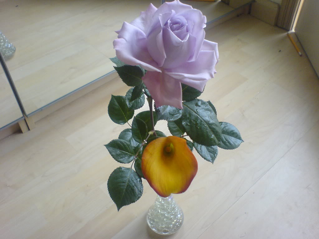 DSC000632.jpg