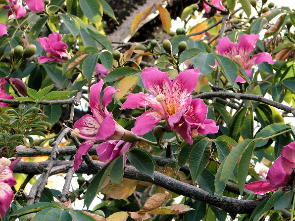 Dsc00064.jpg