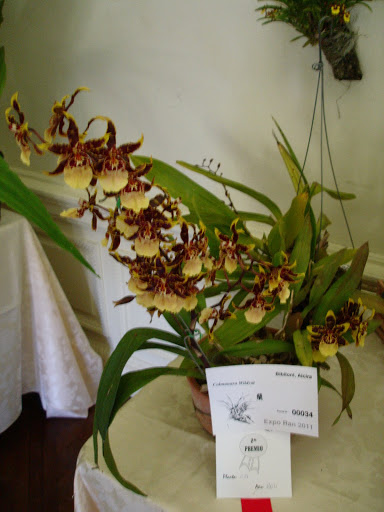 DSC00068.JPG