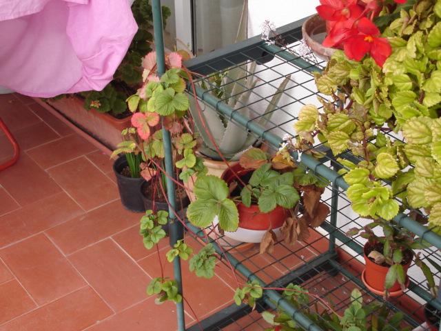 DSC00071.JPG