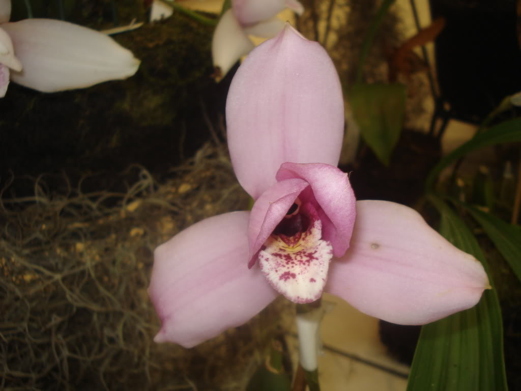 DSC00072.jpg