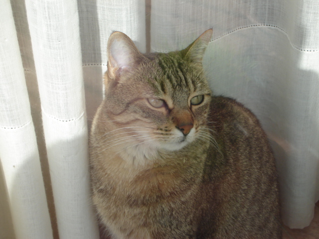 DSC00074%7E0.JPG