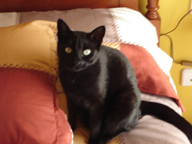 DSC00076%7E0.JPG