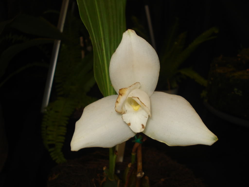 DSC00076.jpg