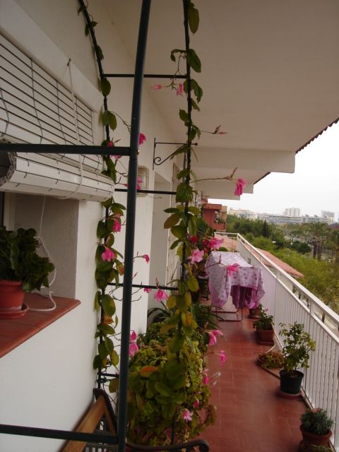 DSC00078%7E0.JPG