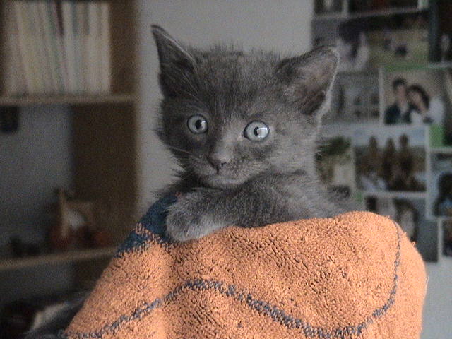 DSC00078%7E3.JPG