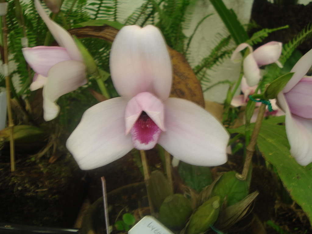 DSC00079.jpg