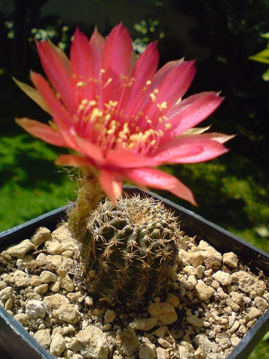 DSC00084.JPG