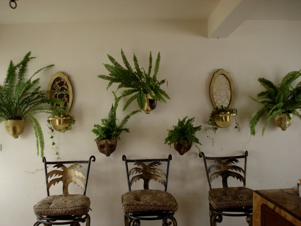 DSC00085.jpg