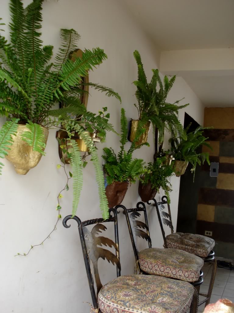 DSC00086.jpg