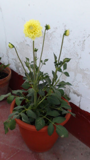 DSC00089.JPG