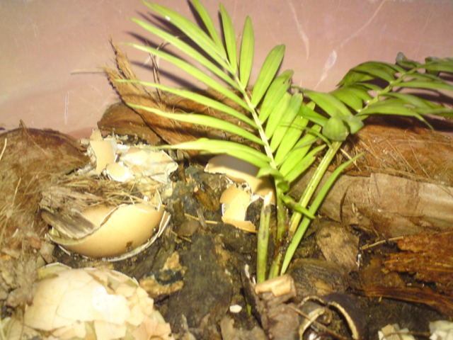dsc00094-268a1ce.jpg