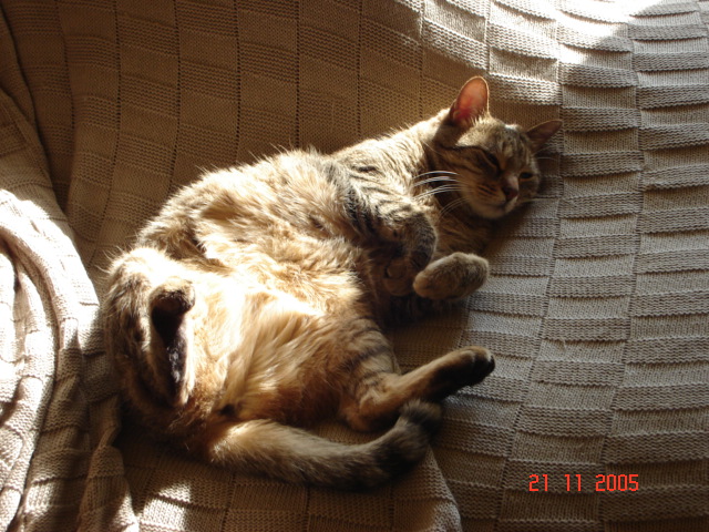 DSC00100.JPG