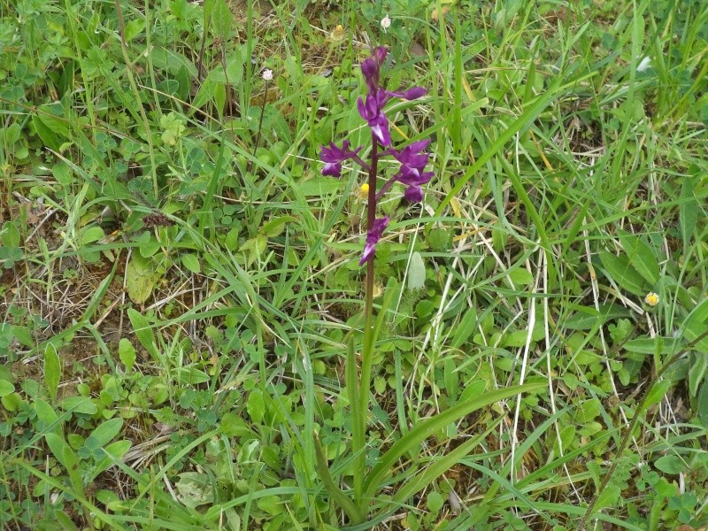 dsc00100.jpg