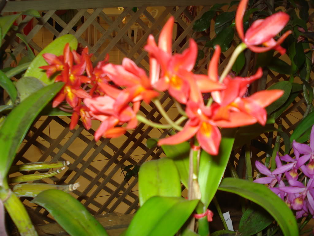 DSC00102.jpg