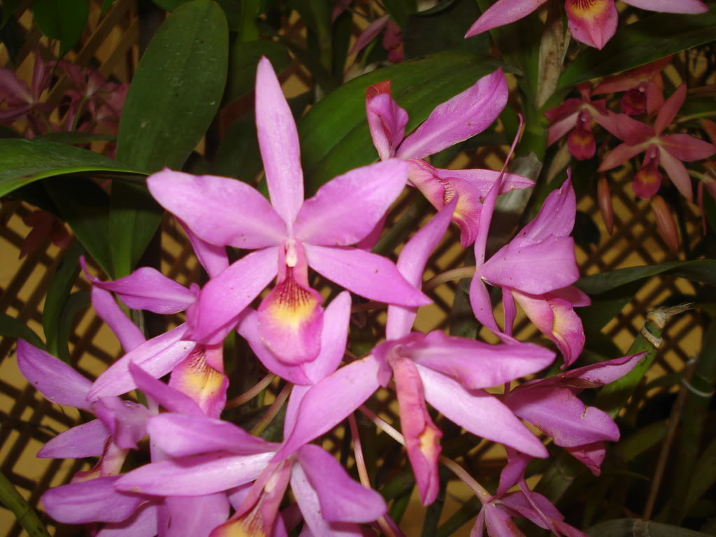 DSC00104.jpg