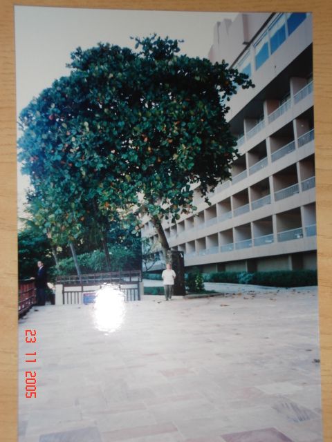 DSC00115v.JPG