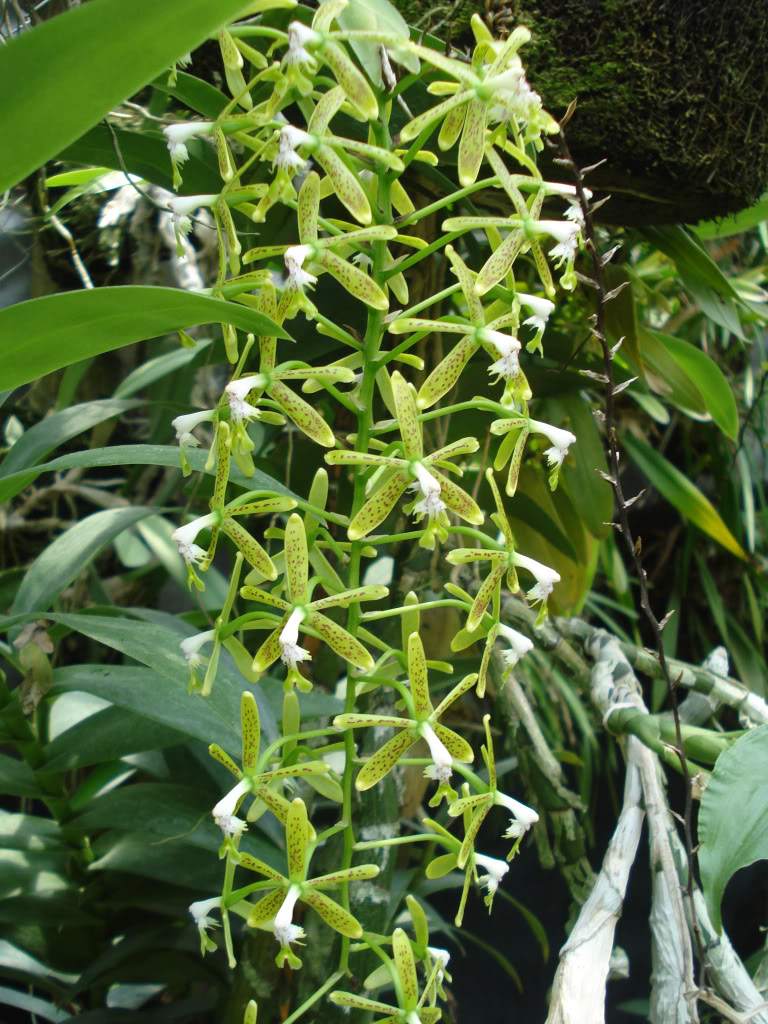 DSC00116-2.jpg