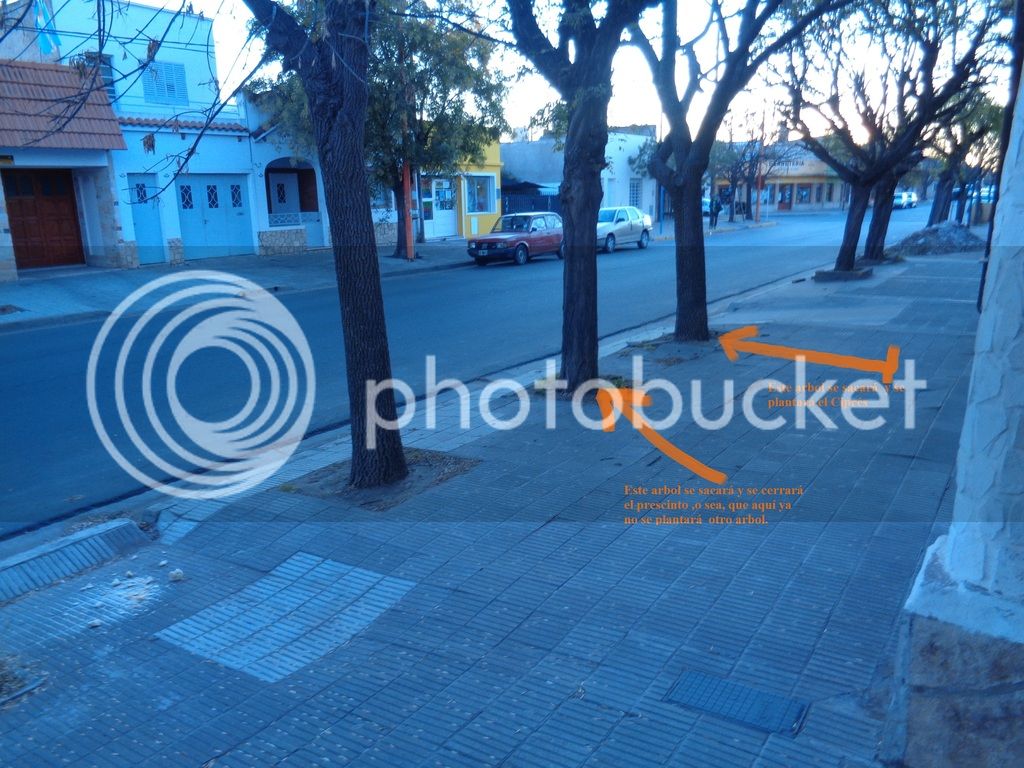 DSC00118%20-%20copia_zpsfrlxf6xo.jpg