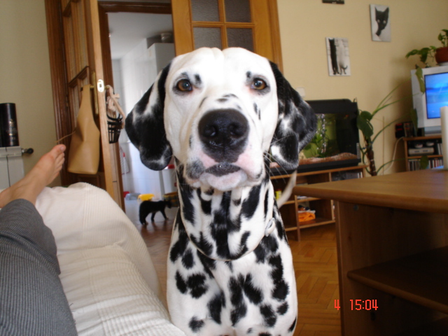 Dsc00123.jpg