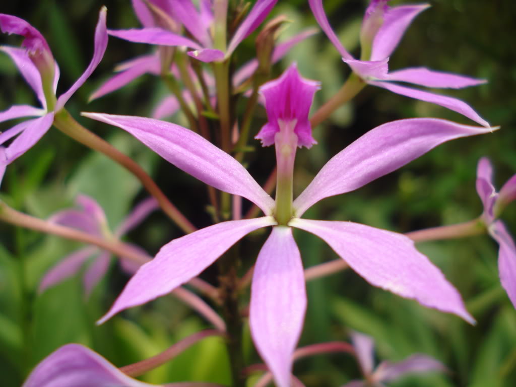 DSC00124.jpg